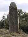 Menhir in Agullana