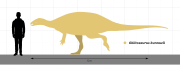 Oblitosaurus size