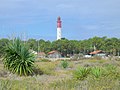 Der Leuchtturm von Cap Ferret