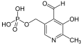 Pyridoxalphosphat