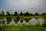 Reflecting ponds (poetry walls)