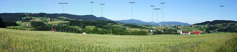 Panorama Beskidu Wyspowego z Siekierczyny