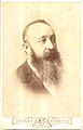 Vasa Pušibrk, 1871–1910