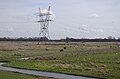 Deltamast met twee traversen en twee circuits, configuratie als een donaumast. Hier loopt géén geleider binnen de vork.