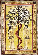 Adam and Eve and the Tree of Good and Evil, miniature from the Codex Aemilianensis (994), Real Biblioteca del Monasterio de San Lorenzo de El Escorial.