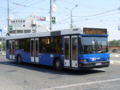 MAZ 103 #1005 (ex #05), linia 41