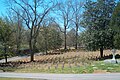 Myrtle Hill Cemetery Confederate Cemetery in Mar. 2, 2009.