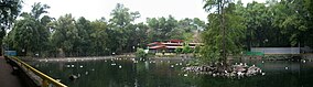 Pond at Fuentes Brotantes de Tlalpan National Park.