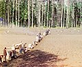 Monks planting potatoes on Lake Seliger