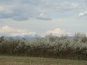 Munții Parâng