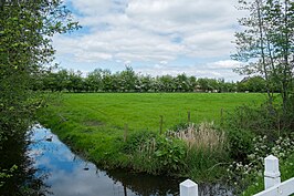 De Zwaddesloot vanaf de brug in het Swaddepaed in noordelijke richting