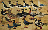 Νήσοι Φερόες Ντίδρικουρ α Σκαρβάνεσι (1802–1865) Πουλιά, 1800s