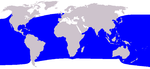 Pygmy sperm whale range