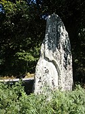 Menhir von Bodero