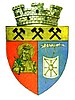 Coat of arms of Petrila
