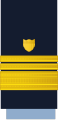 Vice admiral (United States Coast Guard)[63]