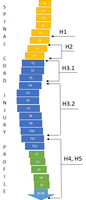 Cycling classification for spinal cord injuries for H1, H2, H3, H4 and H5