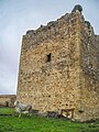 Turm von Tamames (Burgruine)