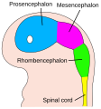 لغات متعددة (bg, ce, en, es, fr, gl, hu, ja, la, pl, pt, ru)