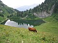 Lac d'Arvouin