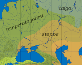 De steppe strekt zich grofweg uit tussen de rivieren Dnjepr en Oeral ofwel vanaf de Zwarte Zee en de Kaukasus in het zuiden tot de gemengde bossen en taiga in het noorden