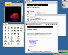 Original Desktop des Betriebssystems BeOS 5.0.3 mit diversen geöffneten Tasks.
