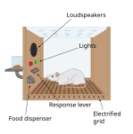 Neue Vektorgrafik