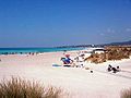 Le Spiagge Bianche di Vada