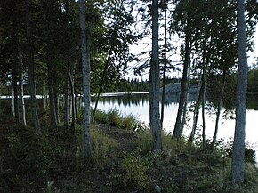 Ingraham Trail yakınlarında Yellowknife nehrinin aşağıları