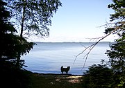 Mälaren mot nord fra Adelsön