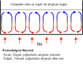 07.42, 20 Ekim 2007 tarihindeki sürümün küçültülmüş hâli