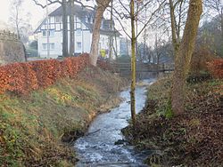 The Repe River flowing near a house