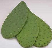 Nopales