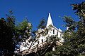 Solomon's Temple between the trees