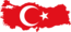 Türkiye Projesi