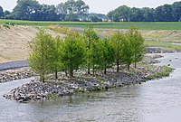 Detail Landschaft im Fluss