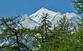 Aussicht von der Moosalp auf Weisshorn, Bishorn und Brunegghorn der Weisshorngruppe