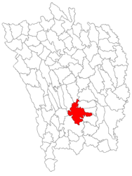 Location in Vaslui County