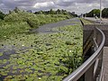 Reste der Haarlemmertrekvaart neben der N200, 2007