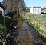 An der Haßlocher Fohlenweide