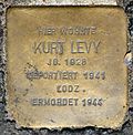 Stolperstein für Kurt Levy (Sülzburgstraße 231)