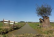 Graben in polder zwischen Ameide und Meerkerk