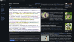 Editor on the left, preview on the right, dark mode