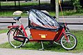 Lastenfahrrad zum Kindertransport