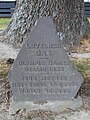 Gedenkstein der Jack Lovelock Oak