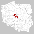 Mezoregion 318.14 Koło-Becken