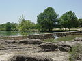 Blanco River @ Blanco,TX