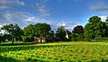 Blick von Südwesten auf die Ahrburg