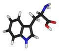 tryptophan