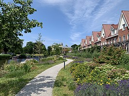 Het Sterrenwachtpark of Singelpark Sterrenwachtlaan anno 2022 met op de achtergrond de Oude Sterrewacht